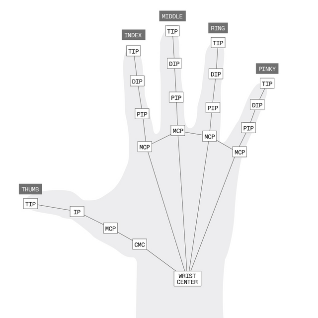 A drawing of a human hand with MLSDK hand-tracking keypoints shown.