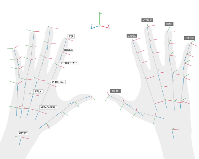 OpenXR hand joint conventions for left and right hands.