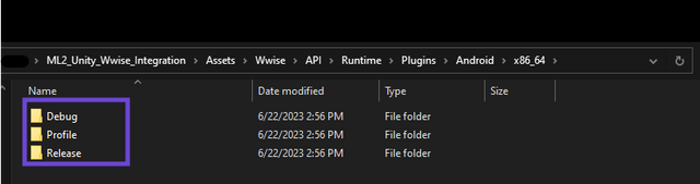  File browser showing new folders named Debug, Profile and Release inside the "x86_64" directory 