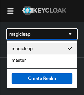 Selecting the magicleap realm in Keycloak