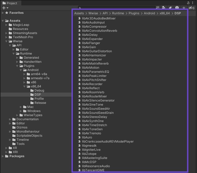  Unity asset browser showing plugin files inside the project's "x86_64/DSP" directory 