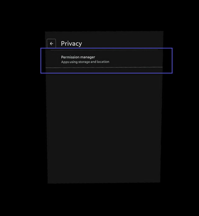 Privacy screen with the Permissions Manager option highlighted