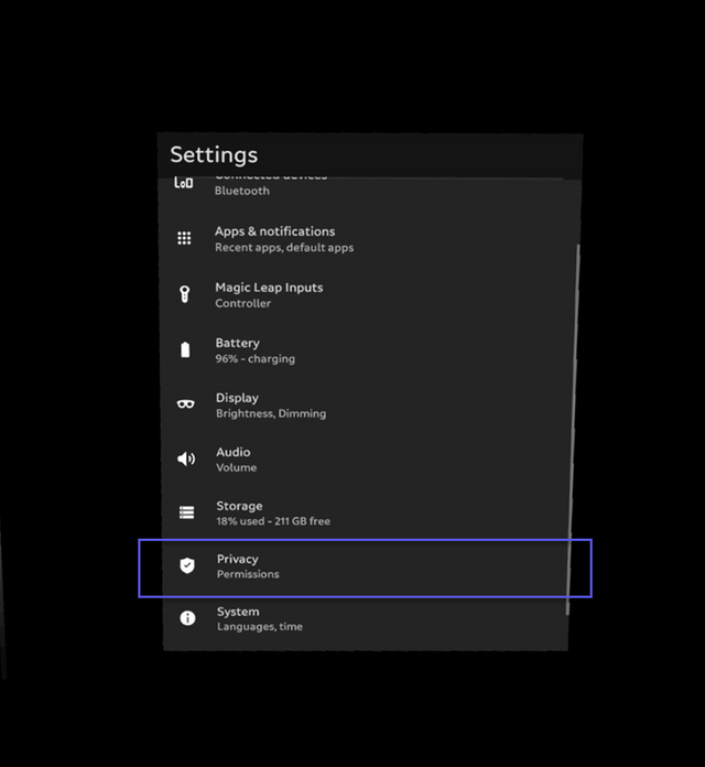 Settings application with Privacy option highlighted