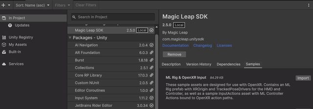 The Magic Leap SDK Package with the "ML Rig & OpenXR Input" sample selected.