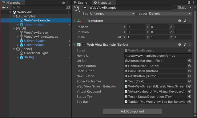 WebViewExample GameObject and Script Component